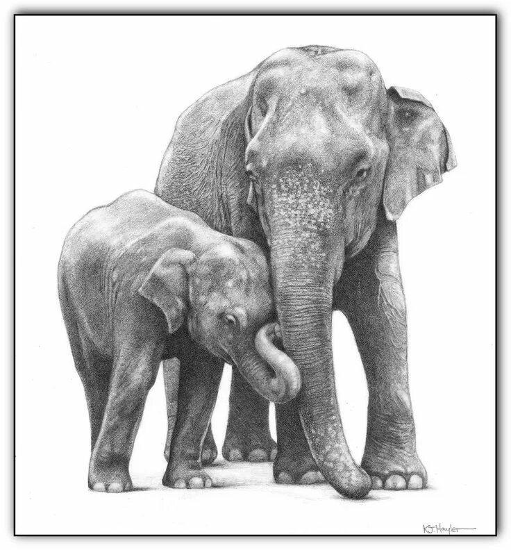 Father elephant. Слон и Слоненок. Картина слон. Картины со слонами. Слон рисунок.