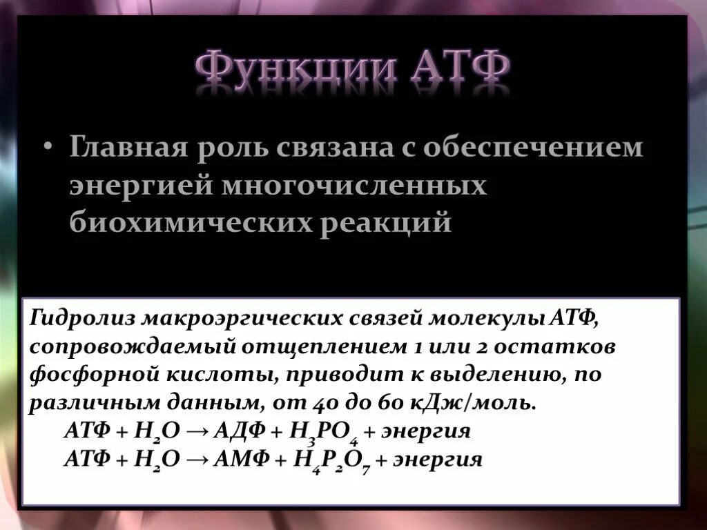 Энергия макроэргических связей. Функции АТФ. Понятие о макроэргических соединениях. Роль макроэргических связей.