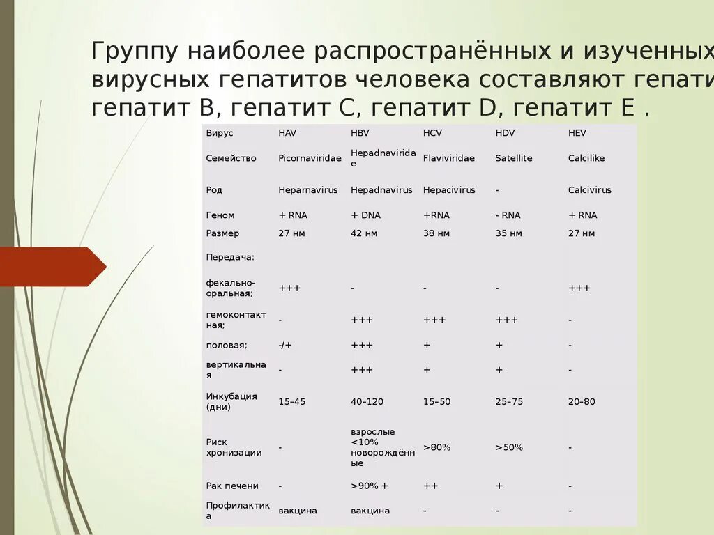 Вирусный гепатит группы риска. Самые распространенные гепатиты.