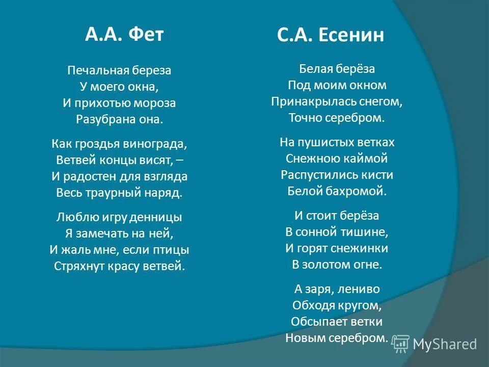 Стихотворения печальная береза. Печальная береза Фет. Печальная берёза у моего окна и прихотью Мороза Разубрана она. Стихотворение печальная береза.