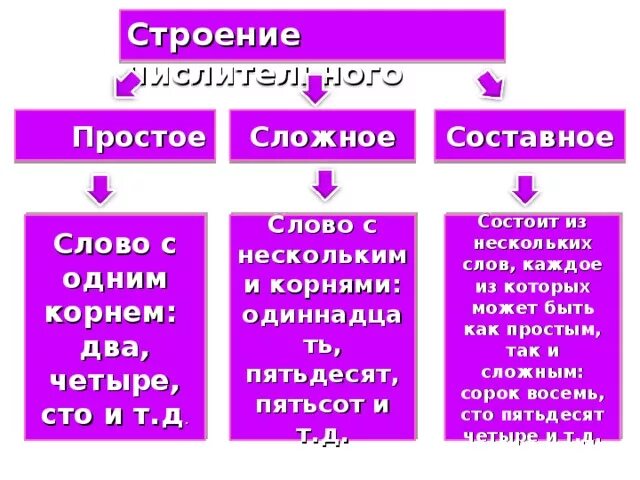 Простые сложные и составные числительные. Имена числительные простые сложные и составные. Простое сложное составное. Простые и составные слова. Насчет простой или составной