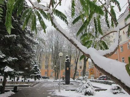 Зимний гомель
