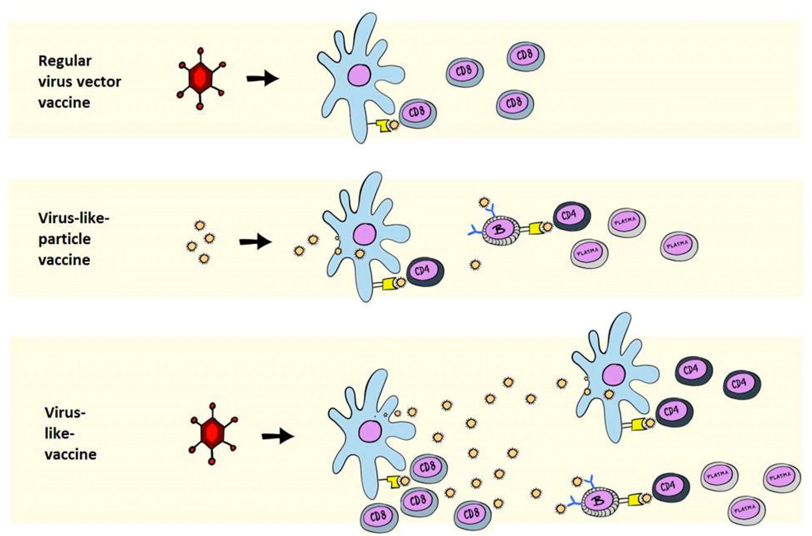 Virus vaccine. Векторные вакцины. Векторные вакцины это антитела. Антиген вектор. VLP vaccine.