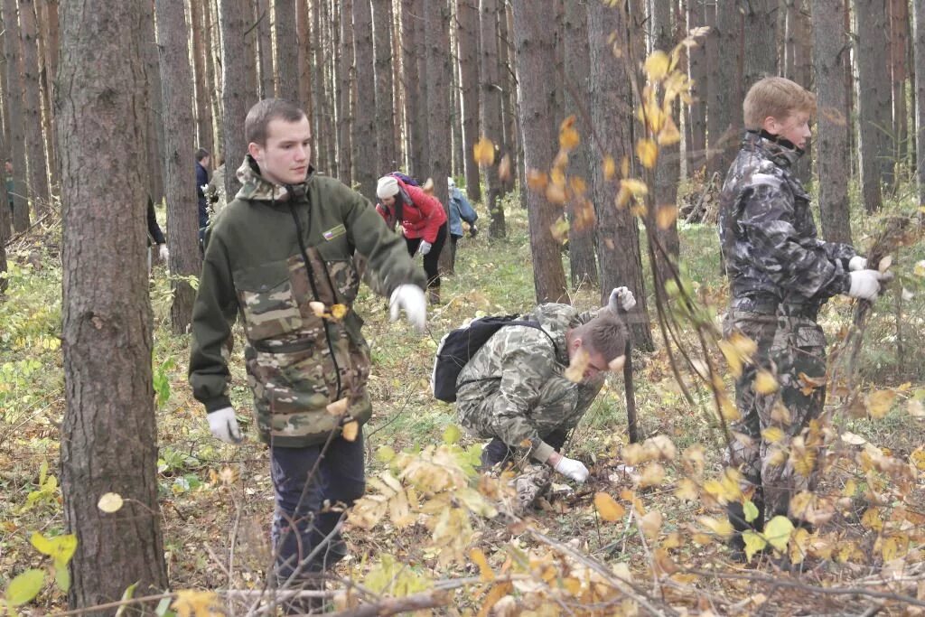 Квалификация лесного хозяйства. Лесной отдел министерства лесного хозяйства юрья. ушмодин департамент лесного хозяйства. департамент лесного хозяйства смоленской области. департамент лесного хозяйства вологодской области.
