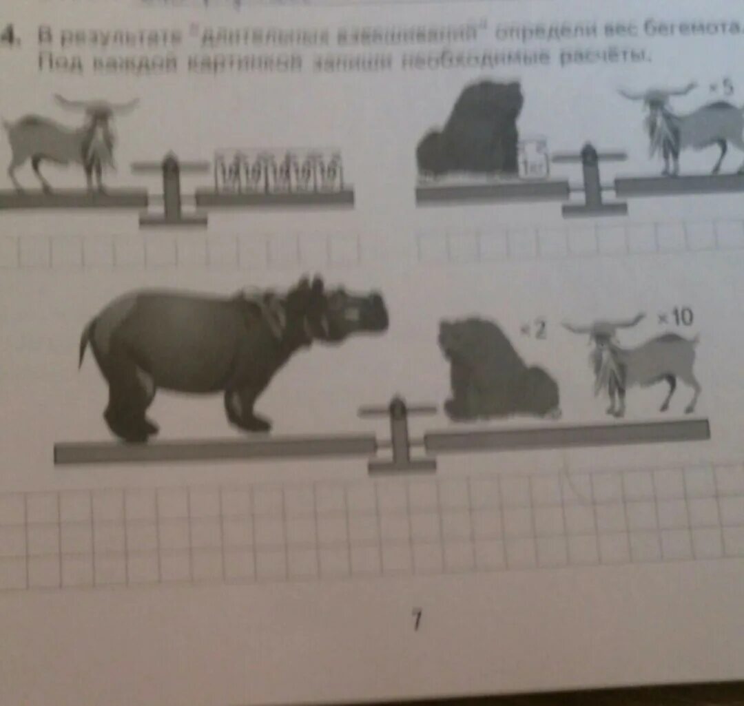Бегемот на весах рисунок. Сравнение веса бегемота на картинке. Бегемот на весах картинка. Масса бегемота математика 4 класс.