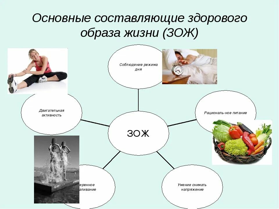 Диагностика здорово образ жизни. Схема основные составляющие здорового образа жизни. Таблица составляющие здорового образа жизни 4 класс. Составляющие здорового образа жизни ОБЖ таблица. Таблица ЗОЖ И его составляющие.