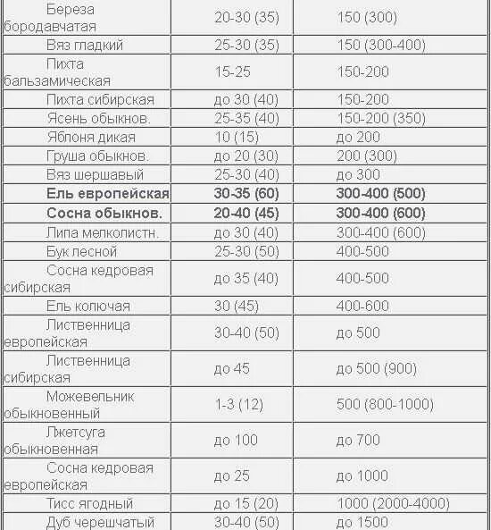 Деревья и Продолжительность жизни деревьев таблица. Продолжительность жизни деревьев таблица. Длительность жизни деревьев в таблице. Дуб Продолжительность жизни деревьев таблица. Средний срок жизни дуба составляет около пятьсот