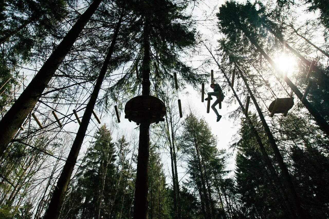 веревочный парк в мончегорске. парк кошкино ленинградская область. кошкин парк спб. загородный яхт-клуб кошкинский фарватер. кошкин парк спб.