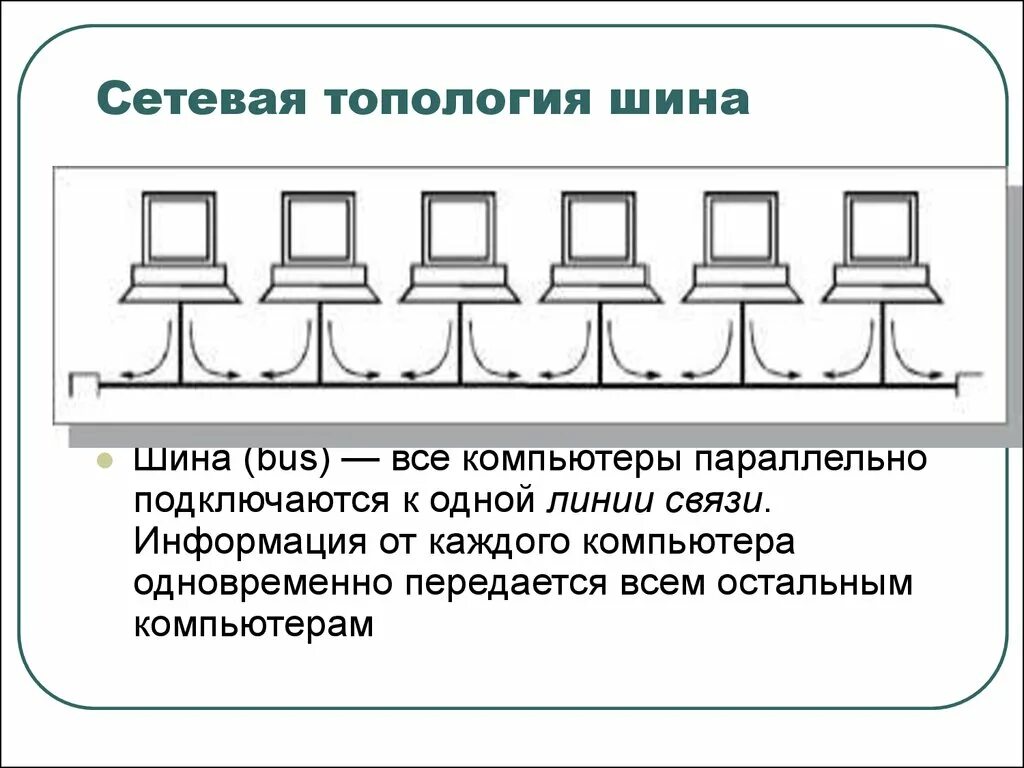 Топология сети общая шина. Общая шина топология схема локальной сети. Схема локальной сети с топологией линейная шина. Топология локальных компьютерных сетей шина. Схема одноранговой локальной сети с топологией линейная шина.