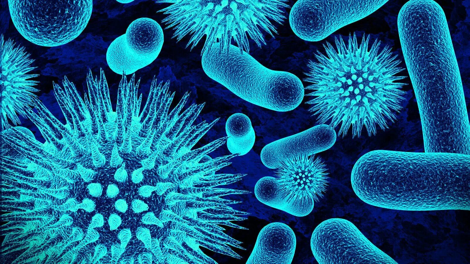 Сапрофиттер бактериялар. Вирусы и бактерии. Бактерии на коже человека. Красивые микроорганизмы.