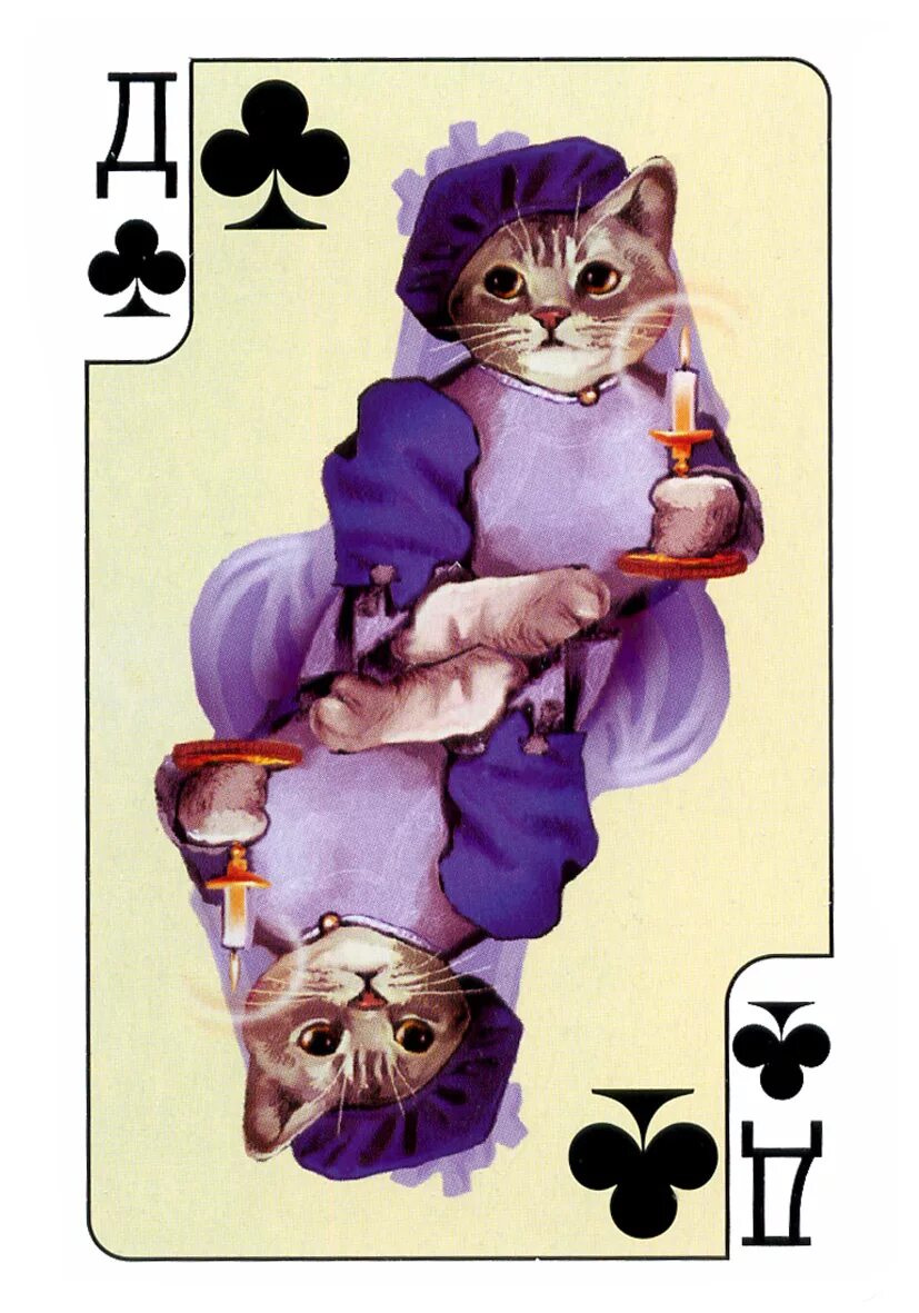 карты котики. колода карт с котами. колода карт с котиками. карты котики. карты котики.