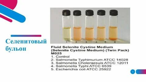 Среда накопления для сальмонелл