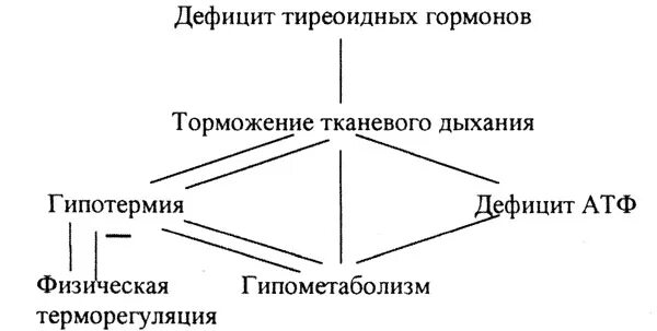 Патогенез гипотиреоза схема. Гипотиреоз механизм развития. Патогенез гипотиреоза кратко. Механизм развития симптомов при гипотиреозе. Гипотиреоз механизм развития.
