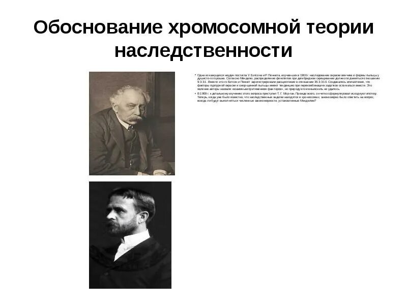 Развитие теории наследственности. Зарождение хромосомной теории наследственности. Гипотеза хромосомной теории наследственности. Хромосомная теория наследственности положения теории. Первое положение хромосомной теории наследственности.