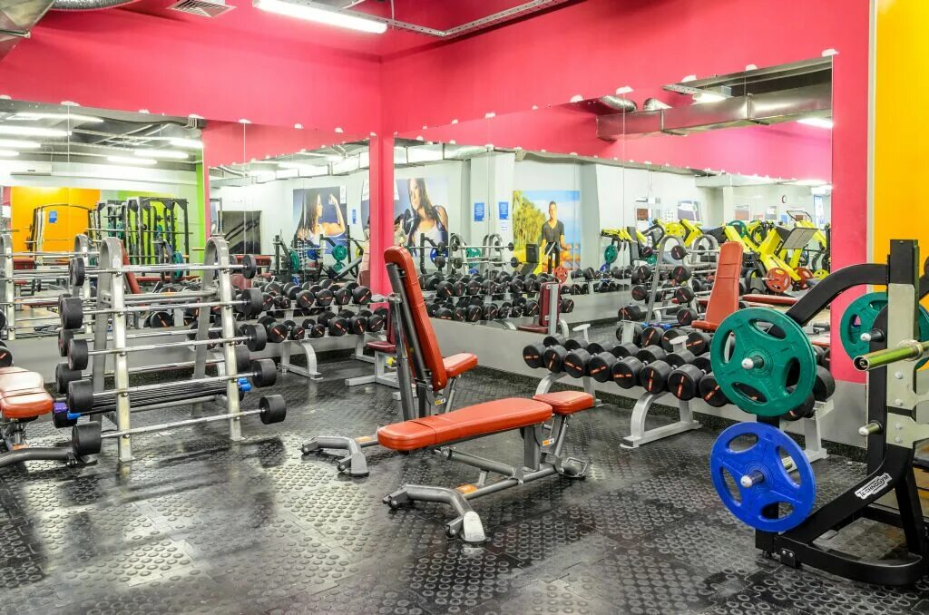 Фитнес бирюлево восточное. Фитнес-клуб alex fitness бирюлево. Фитнес клуб бирюлево. Тренажерный зал алекс фитнес. Фитнес клуб бирюлево.