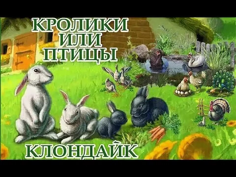 Кролики клондайк. Клондайк кролики. Клондайк трава для кроликов. Клондайк птица. Черный кролик Клондайк.