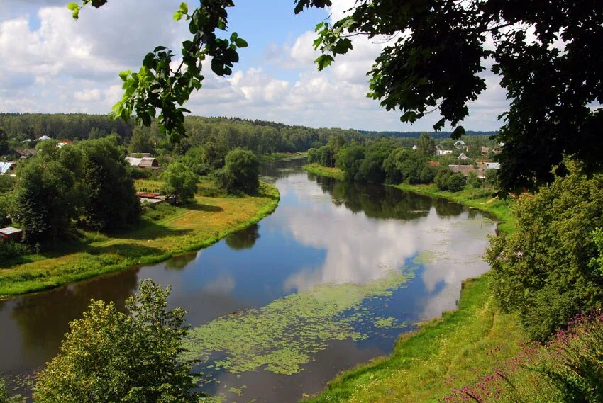 Река Руза Московская область. Руза (река) реки Московской области. Город Руза Москва река. Подмосковье город Руза.