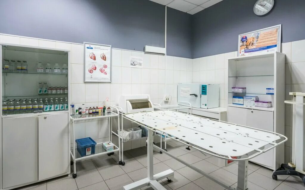 смотровой кабинет в ветеринарной клинике. ветеринарная клиника вестибюль. ветеринарная клиника перовская улица. ветеринарная комната. вет глобал зарайская.