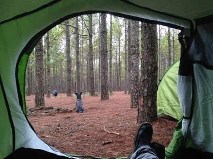But camp