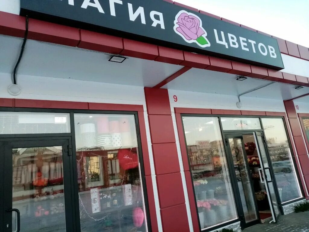 Цветочный магазин нижнекамск. Цветочный магазин димитровград. Магия цветов магазин. Магия цветов магазин. Цветочный магазин нижнекамск.