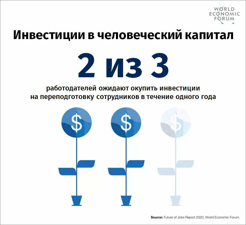 Рынок труда инфографика. Инфографика агентство. Инфографика 2020. Человеческий капитал инфографика. Мрот в 2025 году в россии какой