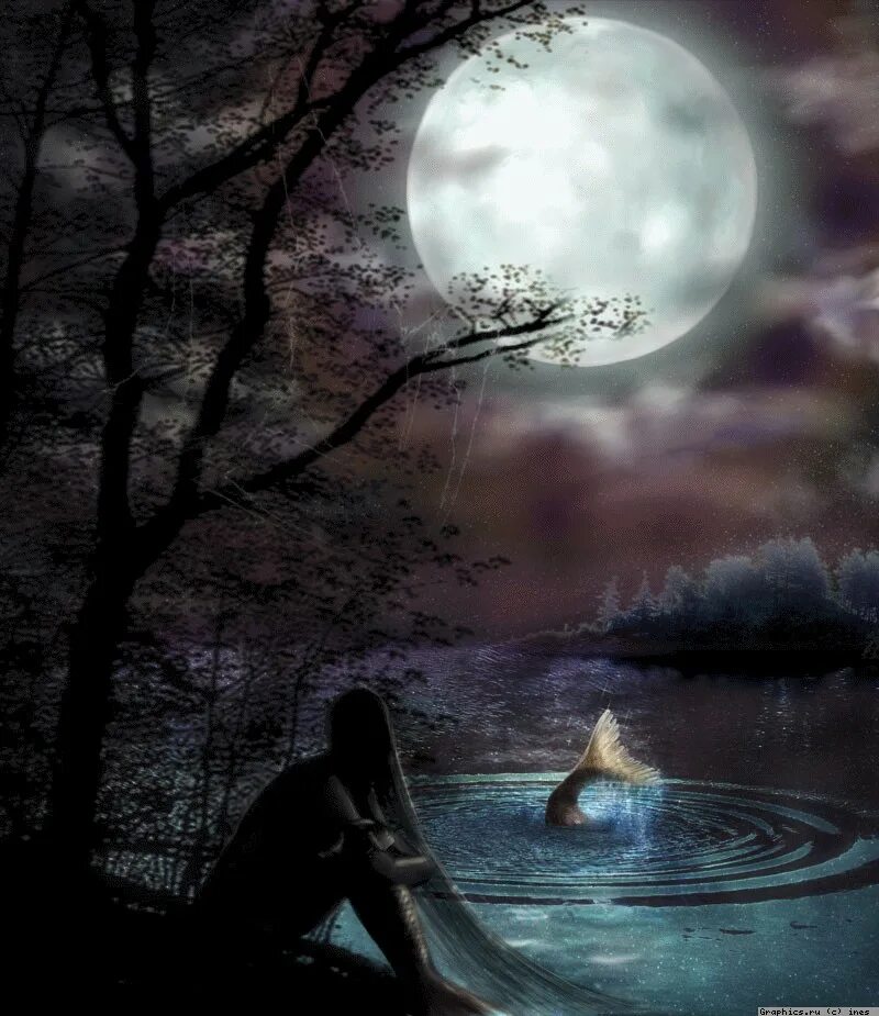 ивы ночью эстетика. полная луна. серебряная луна. прекрасная ночь. лунная ночь в лесу.