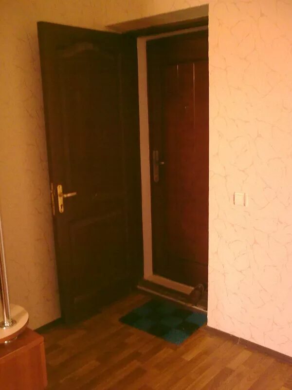 Вторая входная дверь в квартиру. Вторая входная дверь. Вторая дверь в квартиру. Двойная входная дверь в квартиру. Вторая входная дверь в квартиру внутренняя.