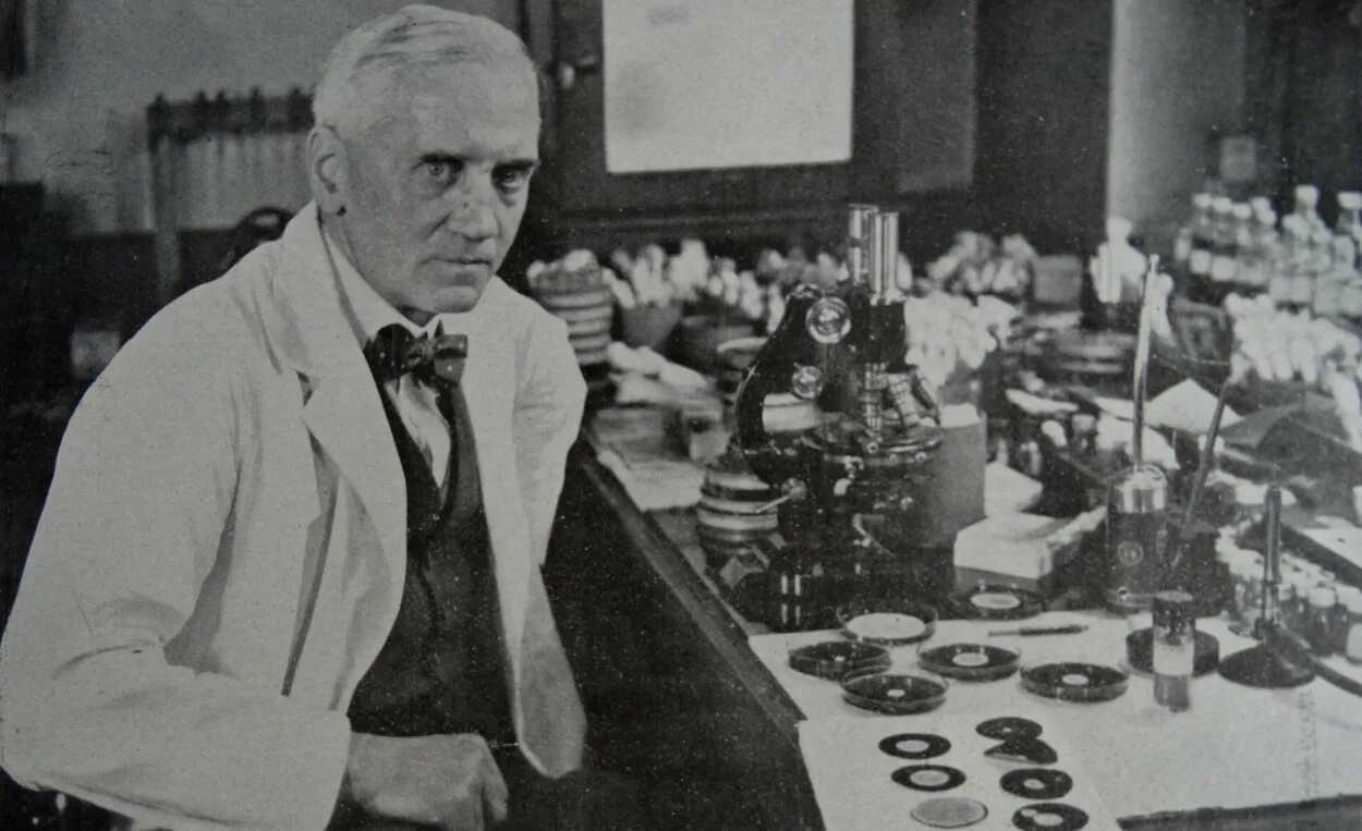Alexander fleming discovered penicillin. Alexander Fleming.