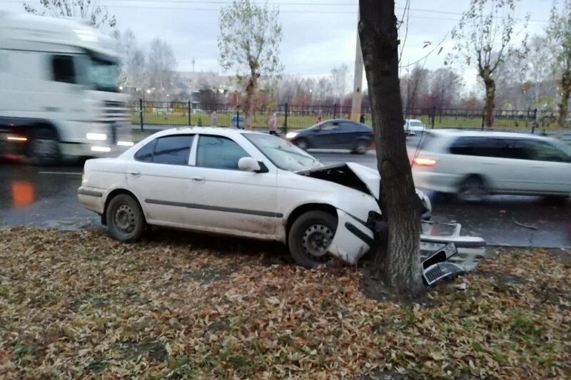 Наезд на дерево. Машина влетела в дерево.