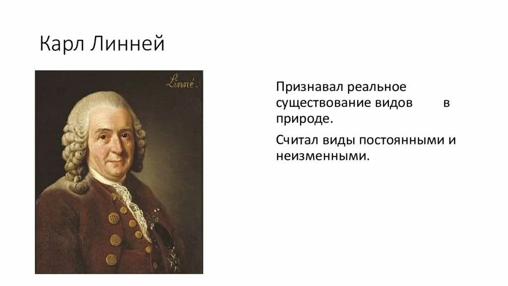Линней считал что виды. Карл линней считал. карл линней существование вида. карл линней временные рамки. карл линней эволюция.