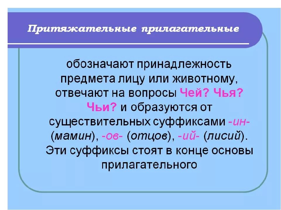 Притяжательные прилагательные. Притяжательное имя прилагательное. Притяжательные прилагательные прилагательные. Пример притяжательного прилагательного. Почему прилагательные качественные