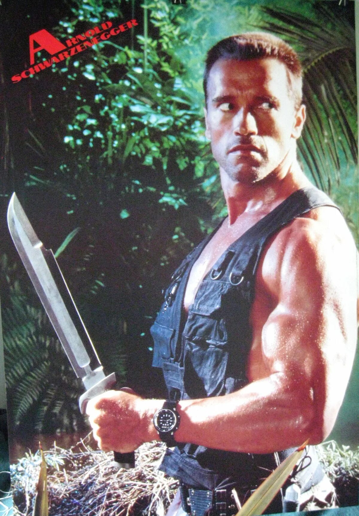 Боевики 80 90 х годов. Arnold Schwarzenegger Predator 1987.