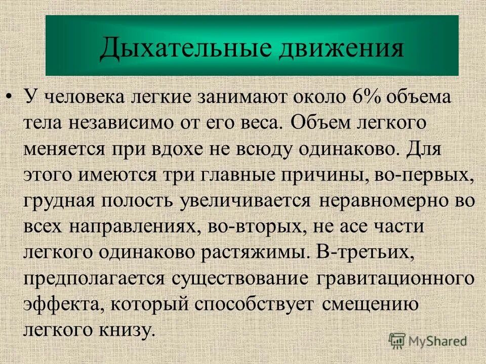 легкие занимают 4 5