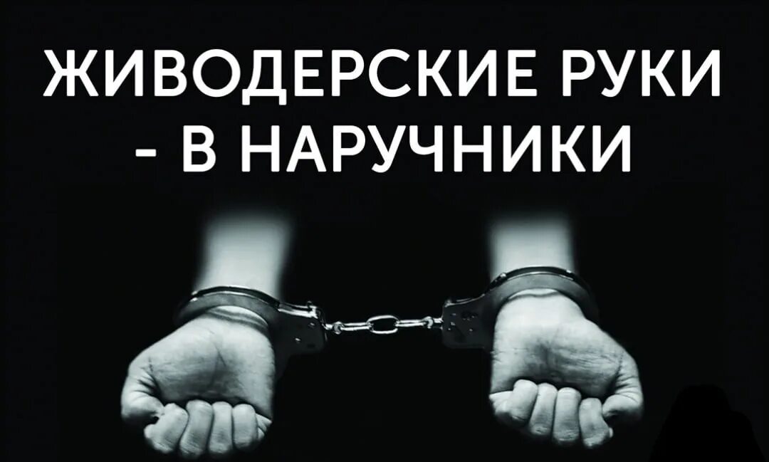 Статья за издевательства животных. 245 ук рф жестокое обращение с животными. статья 245. 245 статья ук рф. статья 245 уголовного кодекса.