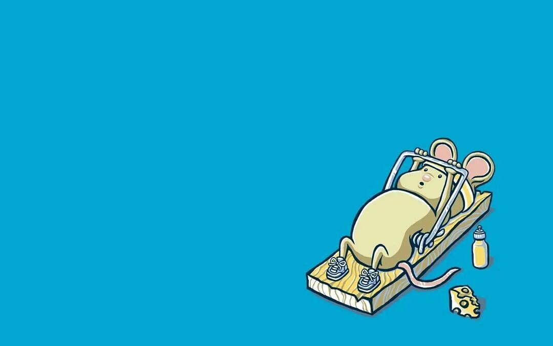 Обои на рабочий стол юмор. Обои юмор. Смешные обои. Юмористический фон. Интересные картинки минимализм.