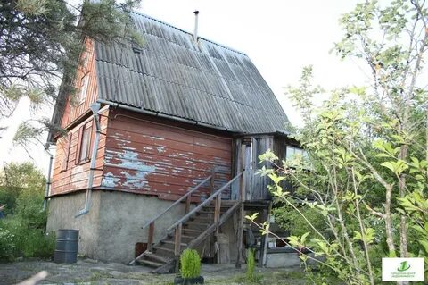 Снт ивушка московская область
