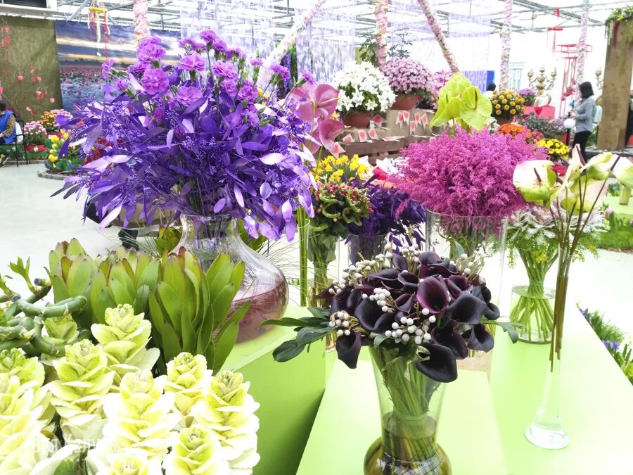 Калуга выставка галантус 2023. Выставка цветов галантус калуга. Калуга галантус выставки. Цветочная выставка галантус. Выставка цветов в калуге.
