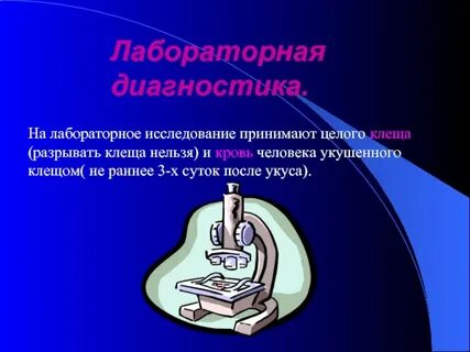 Целое принимаем