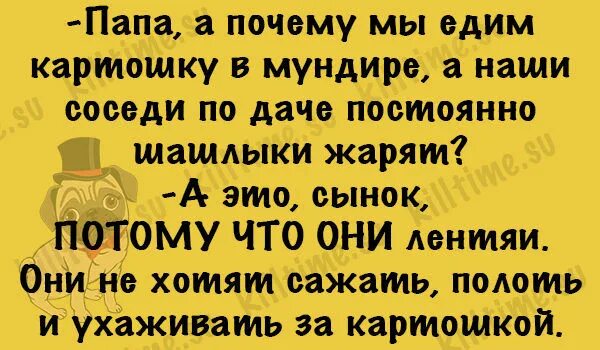 Почему папа на работе. Папа а почему мы едим картошку в мундире а наши соседи шашлыки. Папа а почему наши соседи шашлыки. Папа почему едим картошку в мундире. Папа а почему наши соседи шашлыки мы едим.