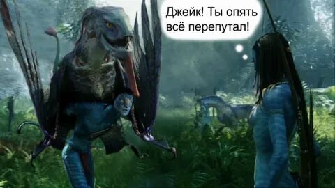 Опять перепутали
