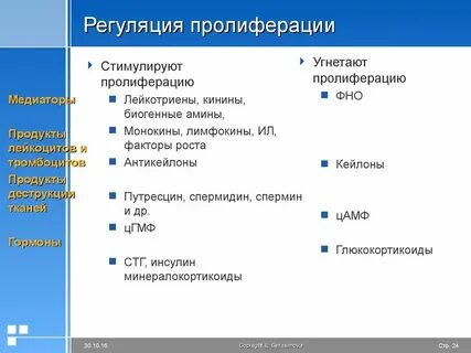 Регуляция пролиферации клеток