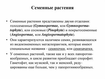 Семенные растения появились в