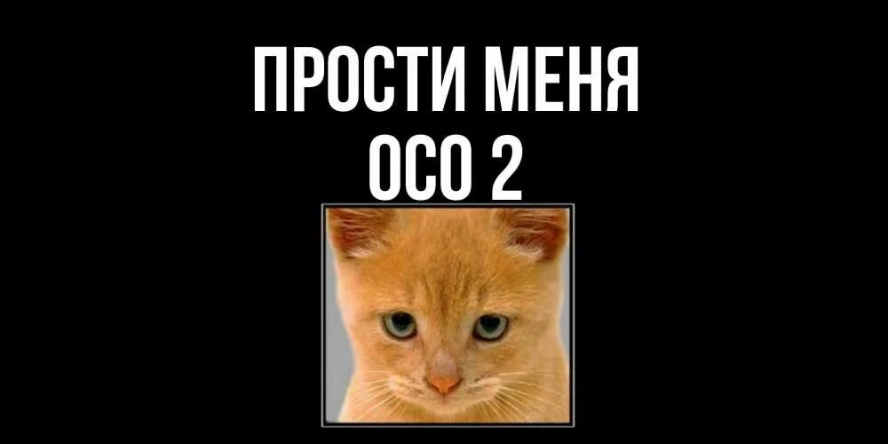 Прости меня. Прости меня пупсик. Лена леночка ленусь песня. Привет лена. Песня лена прости.