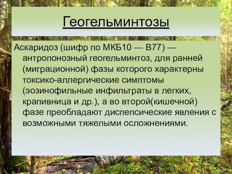 Биогельминтозы и геогельминтозы. Геогельминтозы примеры. К геогельминтозам относятся. Биогельминтозы