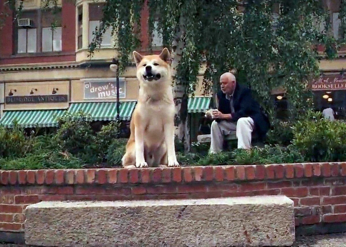 Почему хатико. Хатико самый верный друг. Хатико: самый верный друг / Hachi: a Dog's Tale.