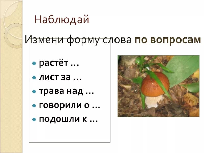 Изменить форму слова пример. Форма слова. Изменить форму слова. Изменить форму слова потвопррсам. Измени форму слова.