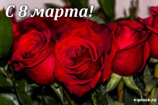 С днём рождения маша поздравления. Дорогая маша с днем. С днём рождения машенька. Машуля с днем рождения открытки. Поздравления с днём рождения машенька.