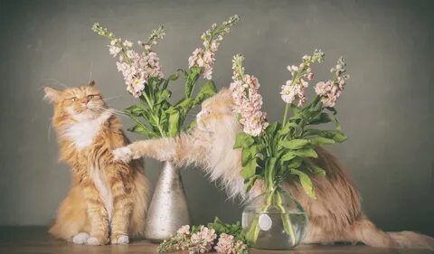 Кун день