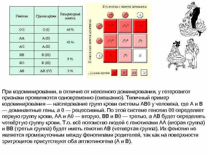 Генотип четвертой группы крови. Генотип 2 группы крови. Наследование 4 группы крови это кодоминирование. Задачи на кодоминирование группы крови. Генотип 3 группы крови.