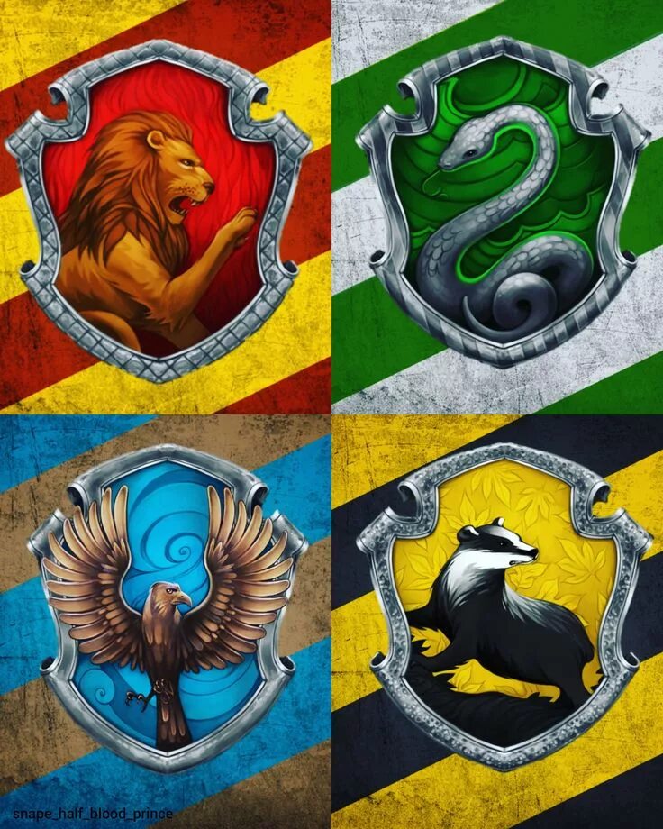 Pin su Hogwarts Houses/Crests, etc. Arte harry potter, Hogwarts, Case hogwarts